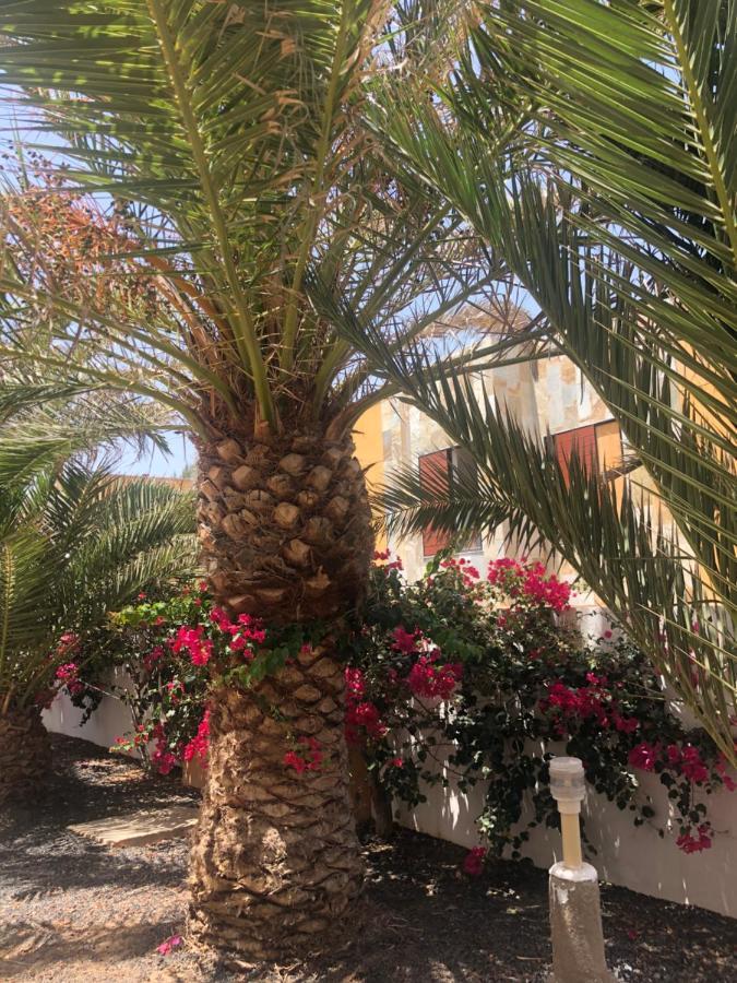 Apartamento Sunny Complex Amaya Fuerteventura Коста-де-Антигуа Экстерьер фото